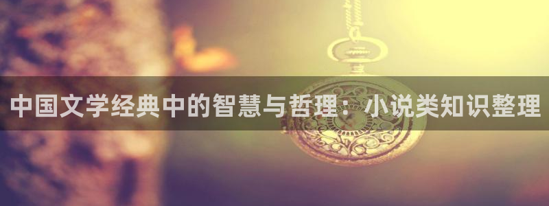 当书网宝书网趣书网：中国文学经典中的智慧与哲理：小说类知识整理
