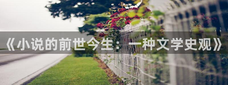 笔趣书阁免费阅读小说软件：《小说的前世今生：一种文学史观》